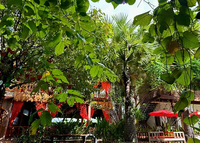 Dontrei Angkor Hotel Siem Reap