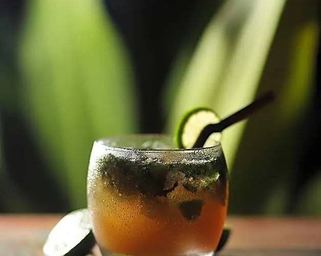 Dontrei Angkor Hotel Siem Reap